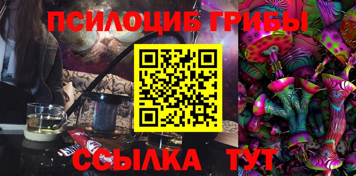 Шали  Галлюциногенные грибы Psilocybe  Вход с VPN 